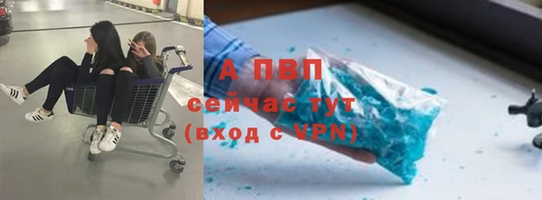 амф Кинешма