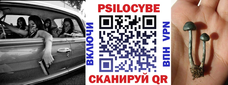 Псилоцибиновые грибы прущие грибы  Купить  Нолинск 